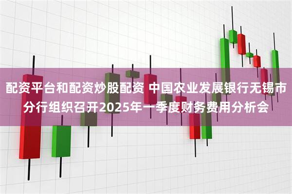 配资平台和配资炒股配资 中国农业发展银行无锡市分行组织召开2025年一季度财务费用分析会