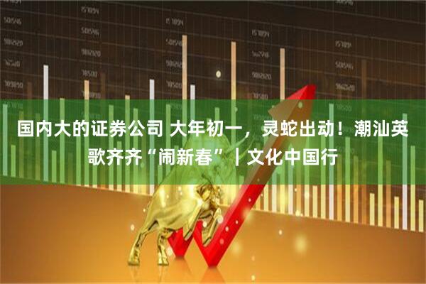 国内大的证券公司 大年初一，灵蛇出动！潮汕英歌齐齐“闹新春”｜文化中国行