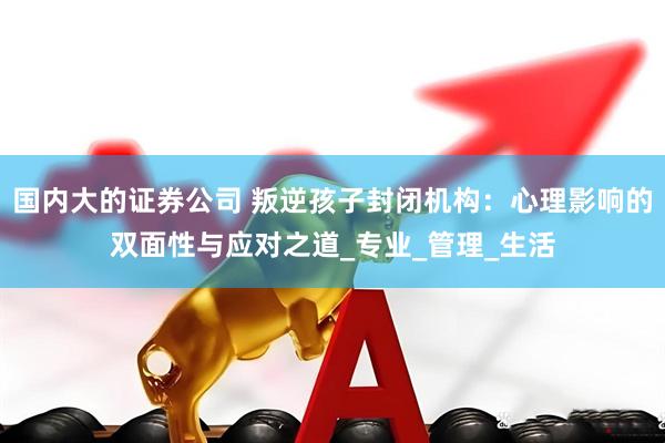 国内大的证券公司 叛逆孩子封闭机构：心理影响的双面性与应对之道_专业_管理_生活