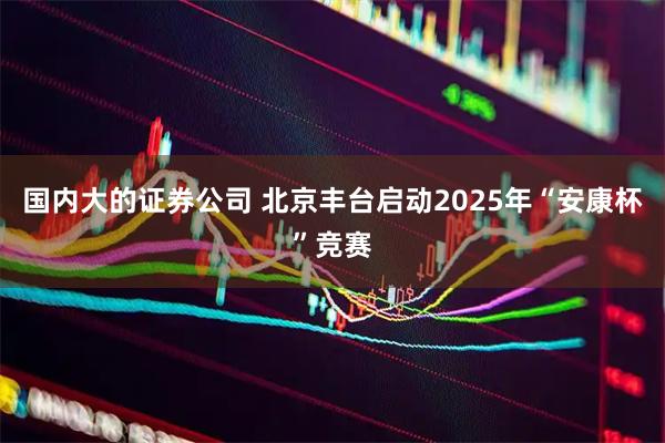 国内大的证券公司 北京丰台启动2025年“安康杯”竞赛