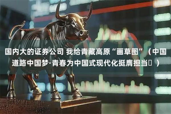 国内大的证券公司 我给青藏高原“画草图”（中国道路中国梦·青春为中国式现代化挺膺担当⑬）